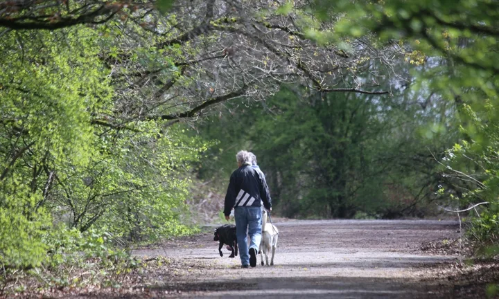 North 40 Park Reserve dog-walking area, identified on Delta’s off-leash area page.