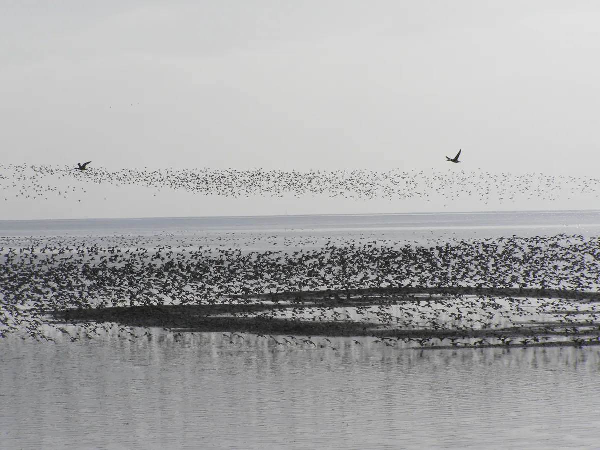 Boundary Bay Regional Park in Delta, British Columbia