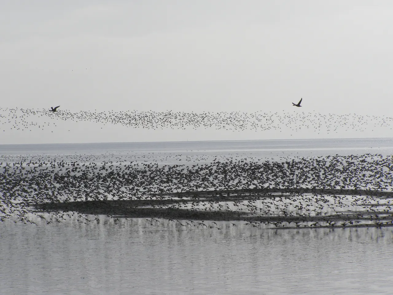 Boundary Bay Regional Park source photograph
