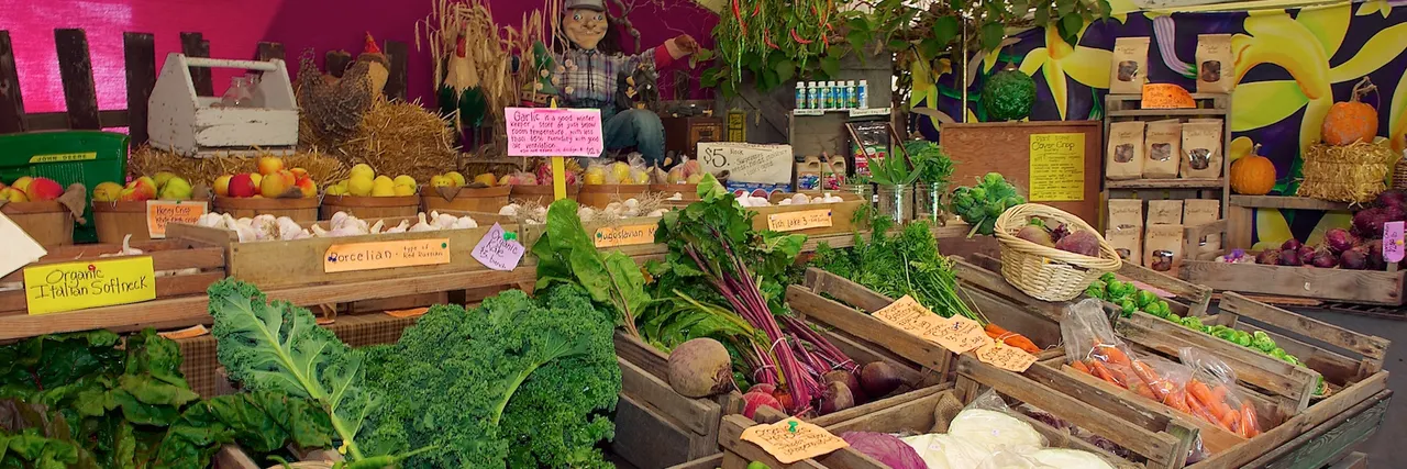 Vegetable displays inside Westham Island Herb Farm shop